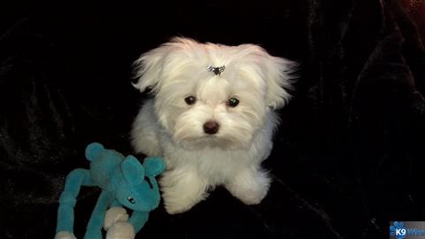 I am so sweet!!!