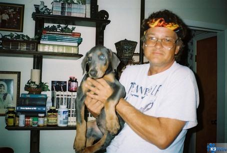 ERICH HENSON AND BLUE & RUST DOBERMAN PINSCHER PUPPY !