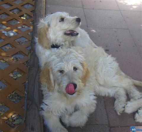 The two of us Hanging out.